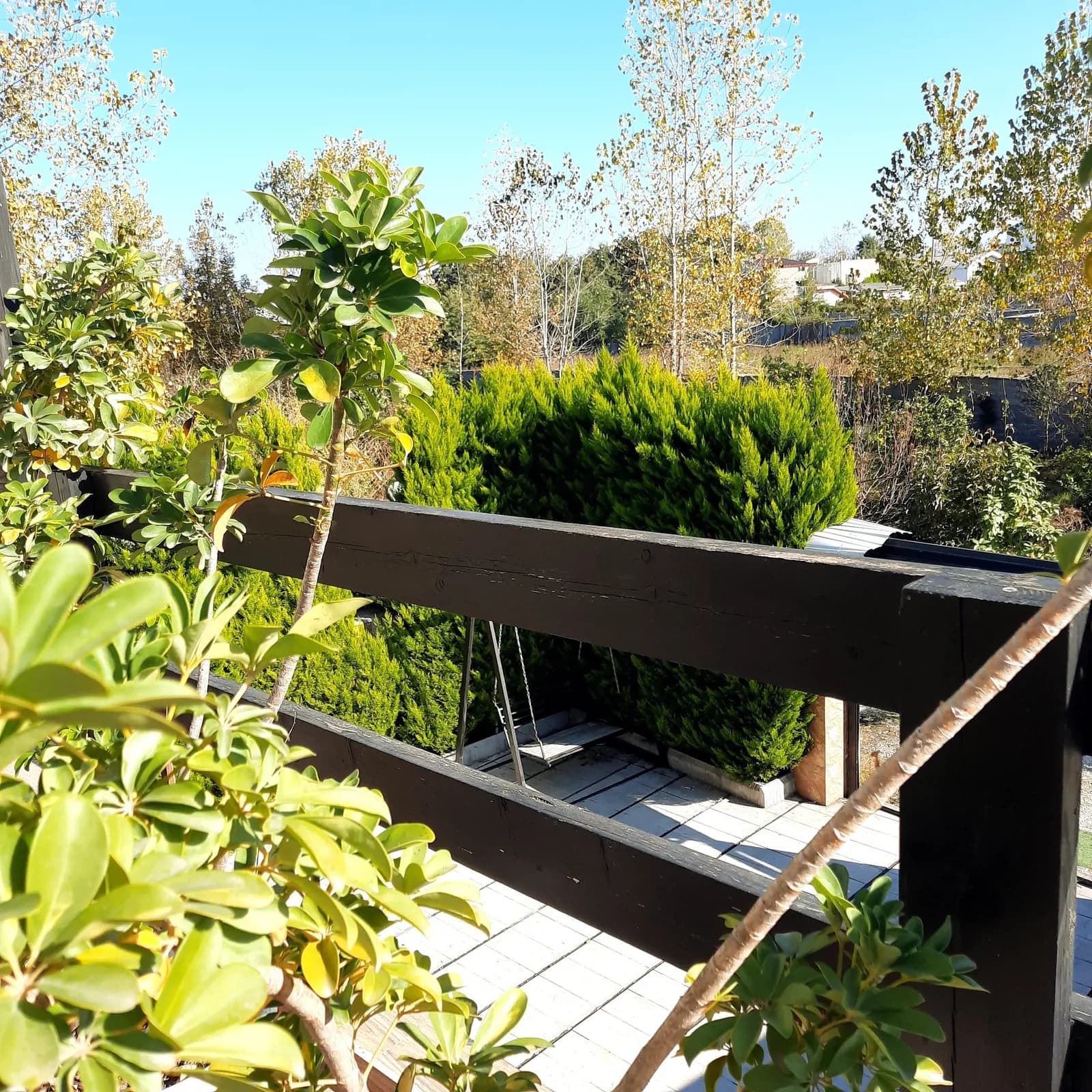 Villa image 32