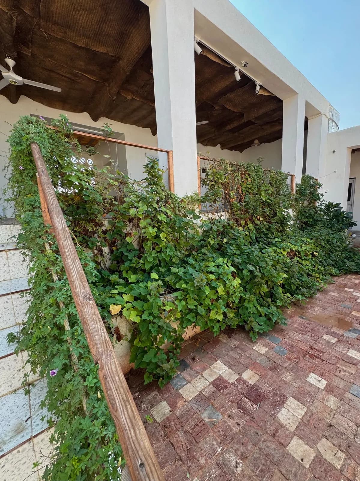 Villa image 11