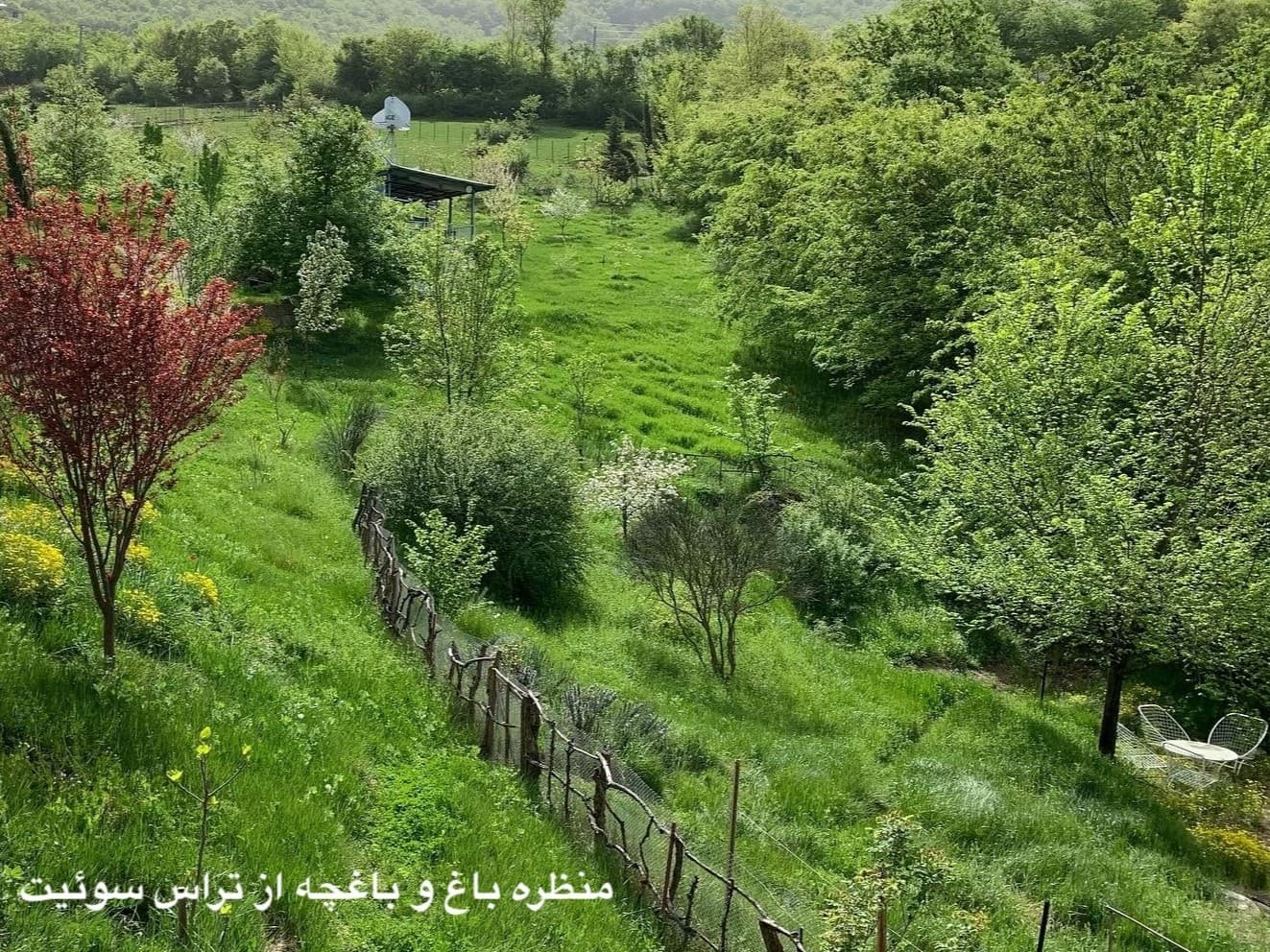 Villa image 21