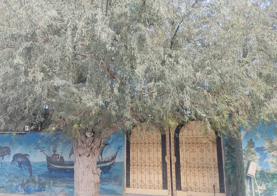 Villa image 2