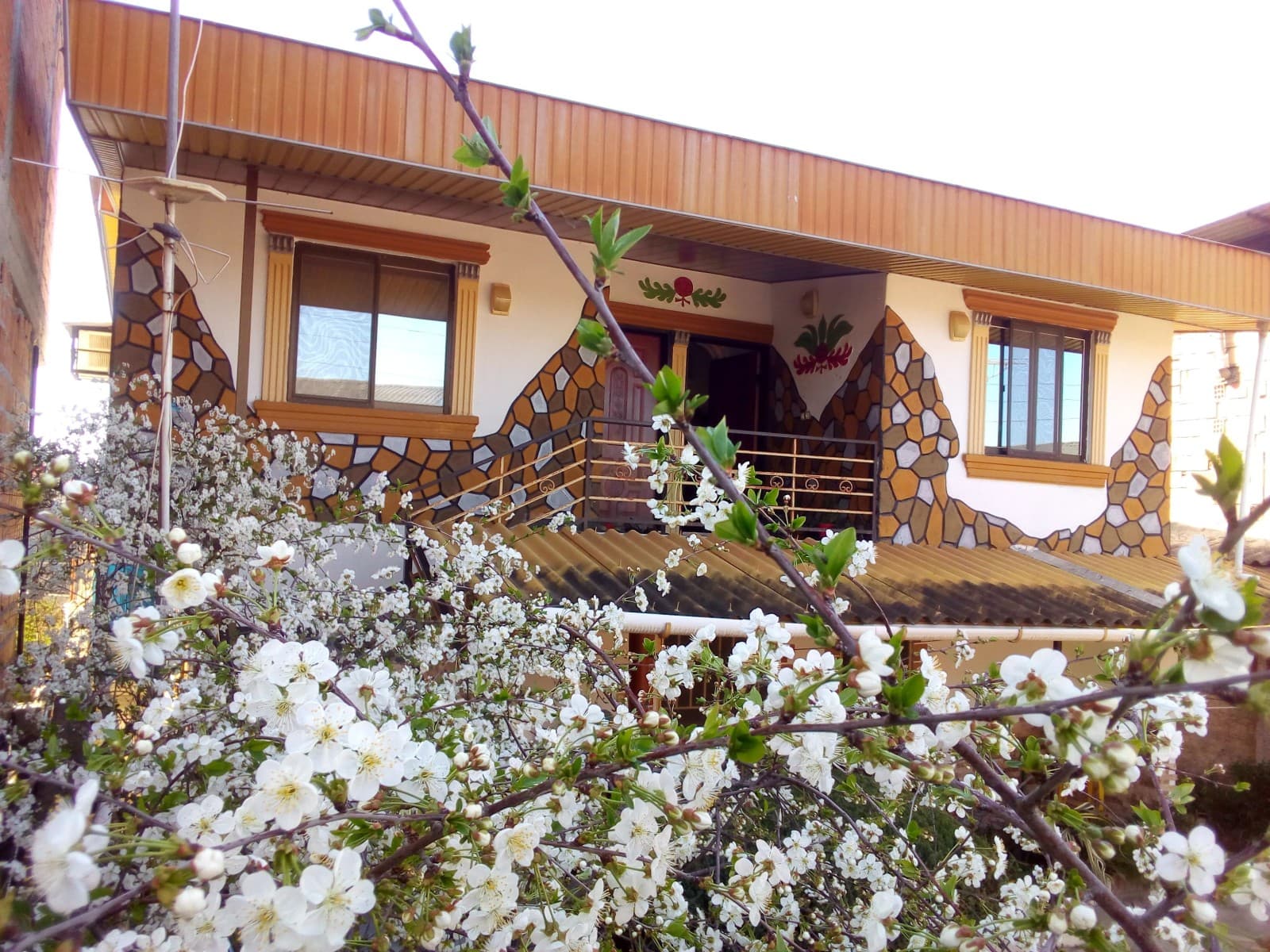 Villa image 3