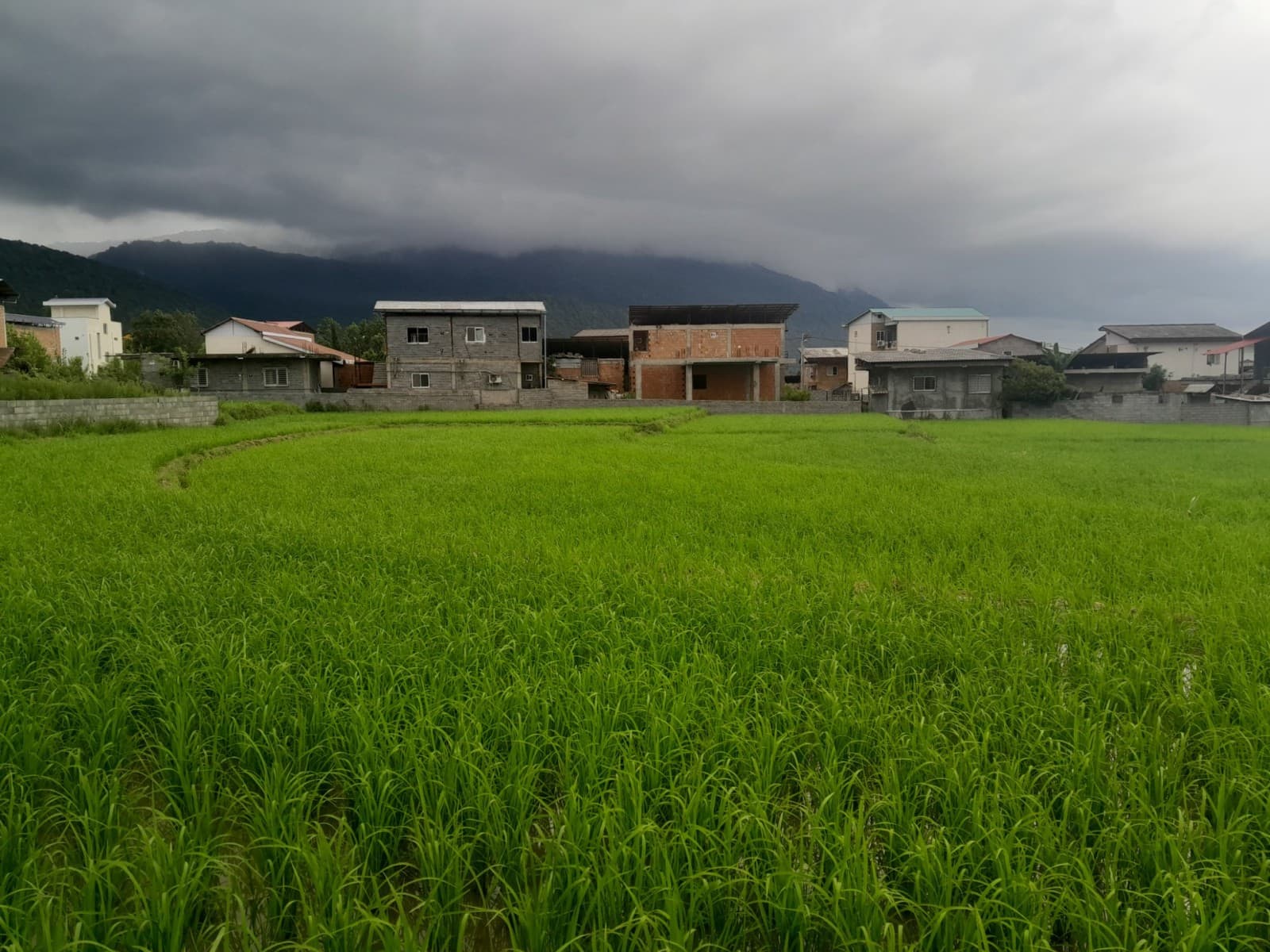 Villa image 5