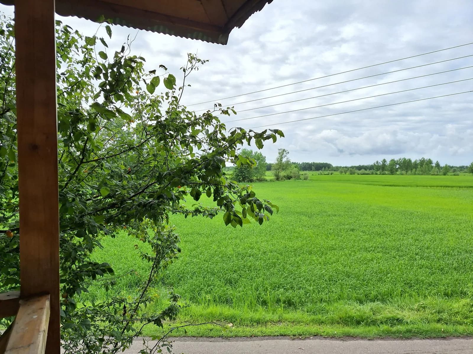 Villa image 11