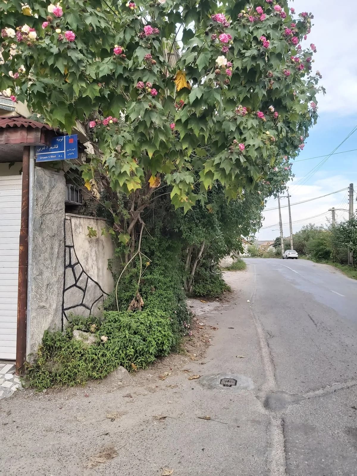 Villa image 11