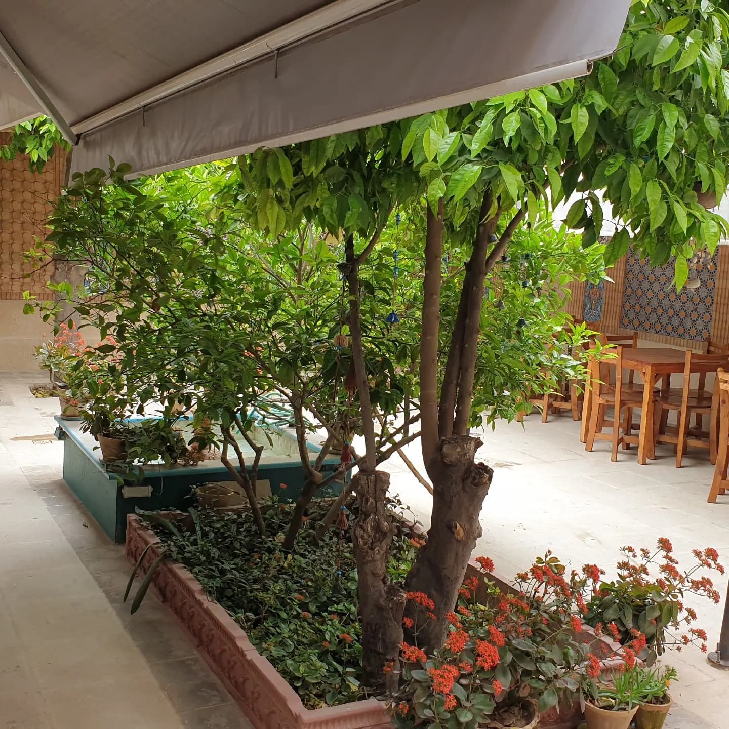Villa image 7