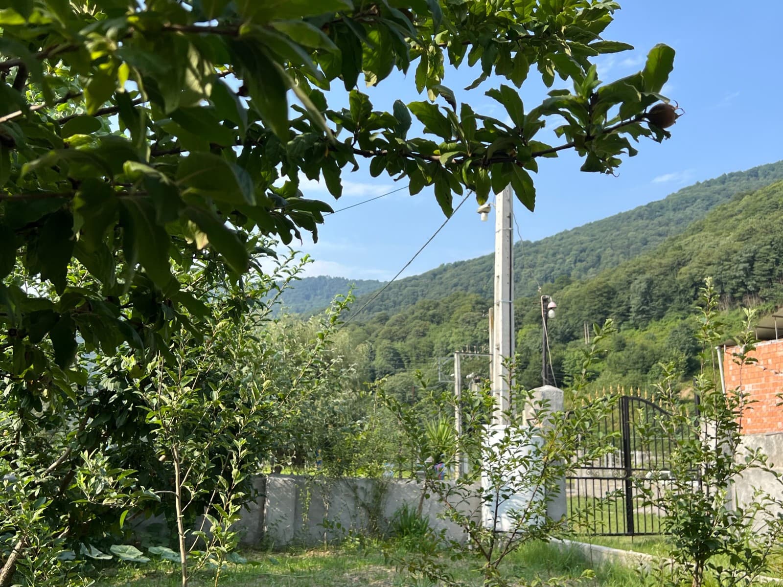 Villa image 39