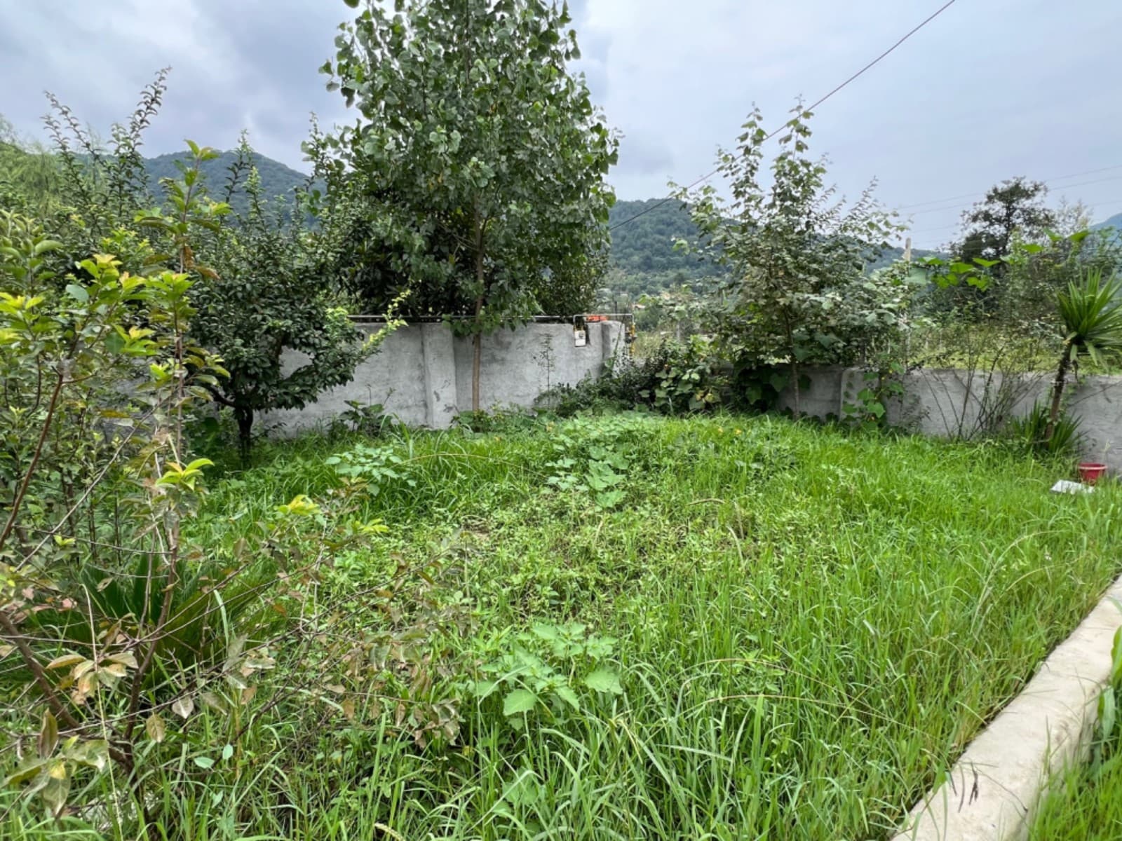 Villa image 46