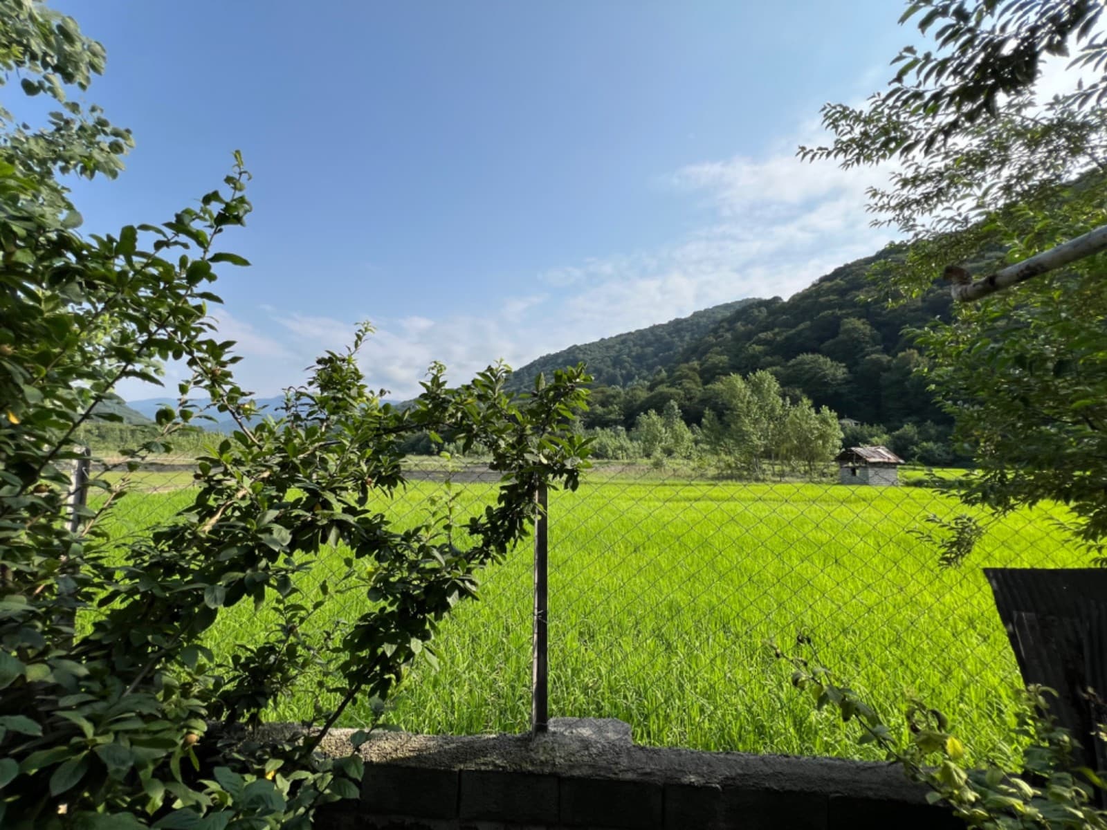 Villa image 51
