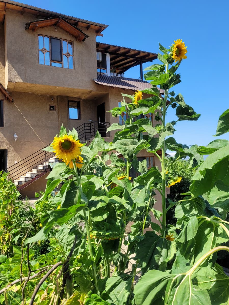 Villa image 27