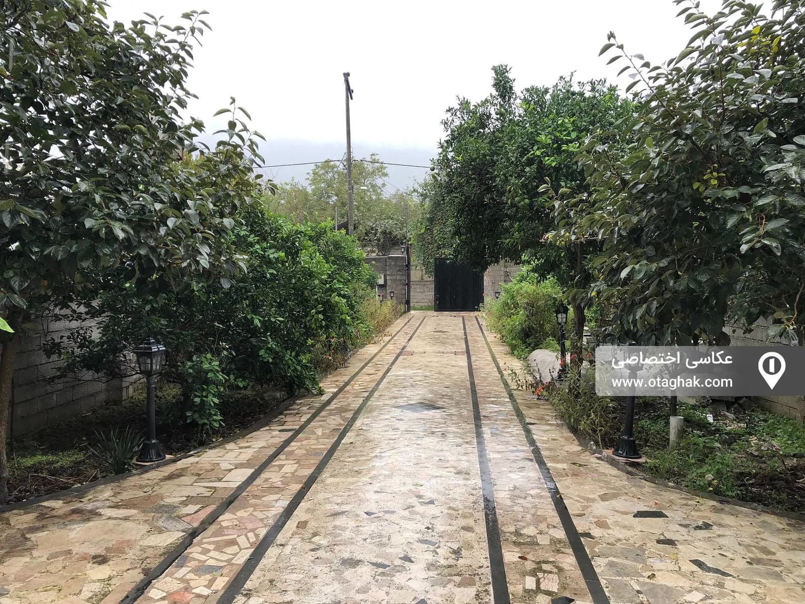 Villa image 14