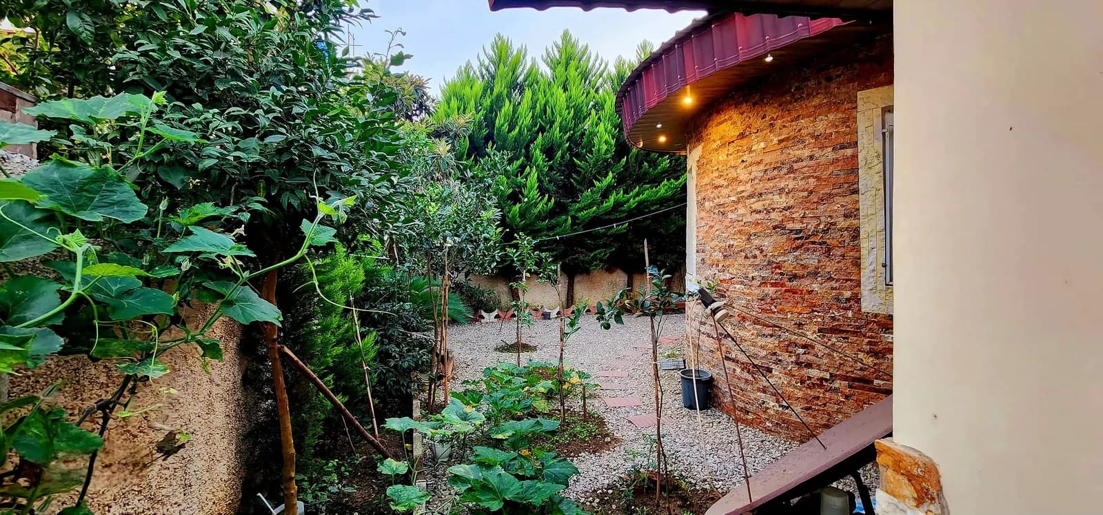 Villa image 20