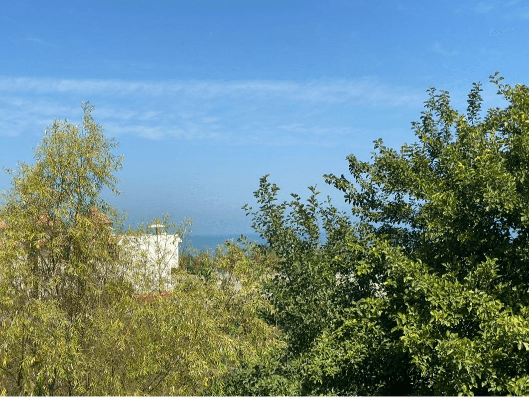 Villa image 8