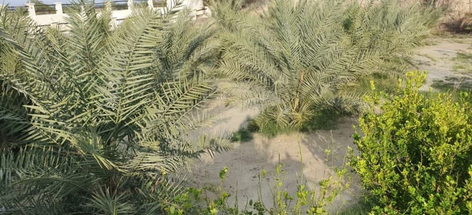 Villa image 26
