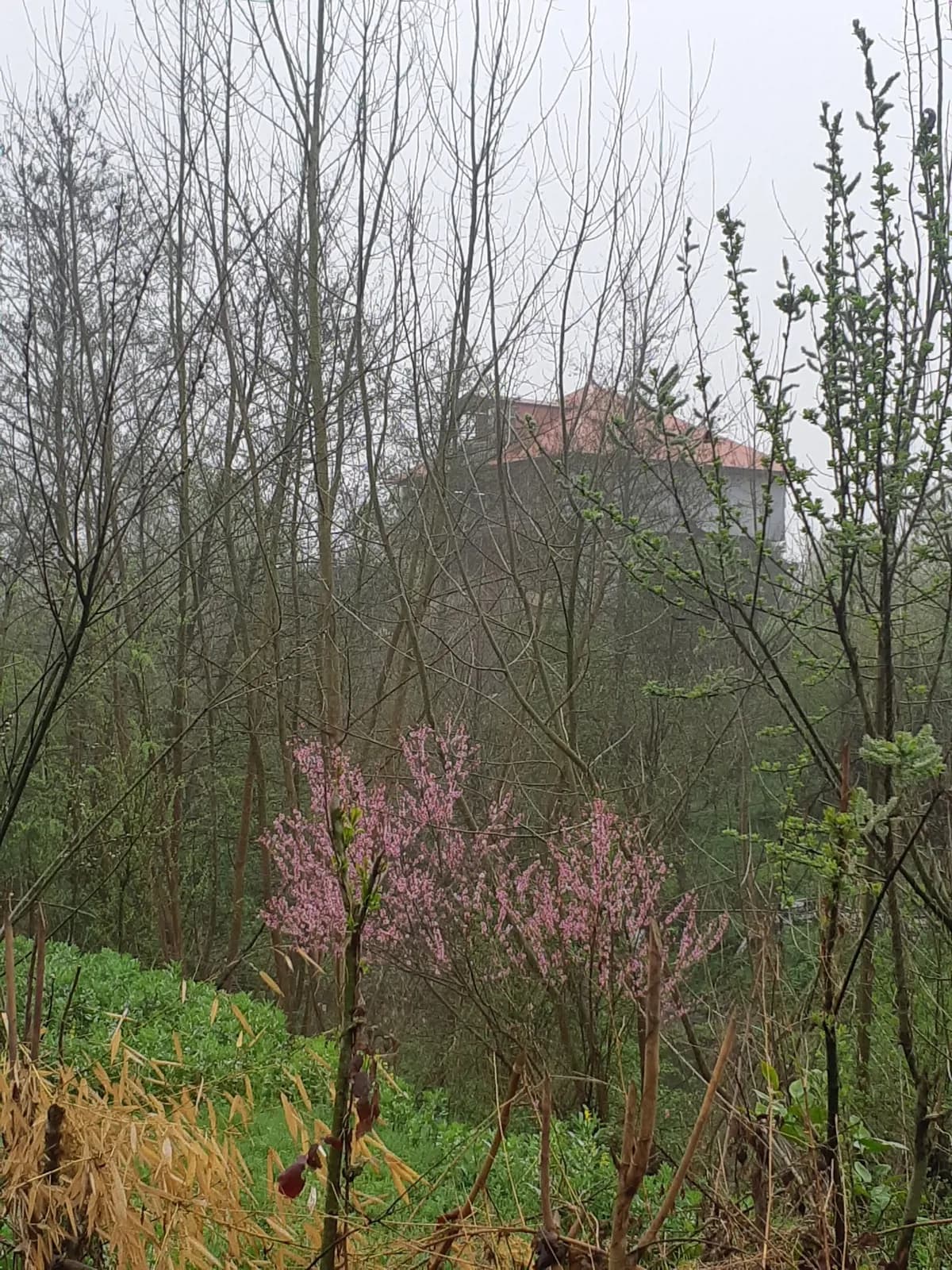 Villa image 15