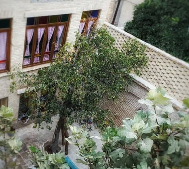 Villa image 29